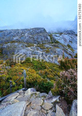 Conquering Mt Kinabalu 98753480