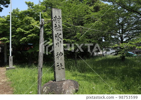 Tamako Hikawa Shrine 98753599