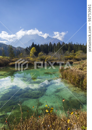 Autumnal landscape in Zelenci, Slovenia 98753661