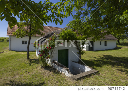 Traditional wine cellars street (kellergasse) in Ketzelsdorf near Poysdorf, Lower Austria, Austria 98753742