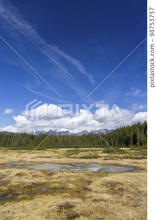 Landscape in Triglavski national park, Slovenia 98753757