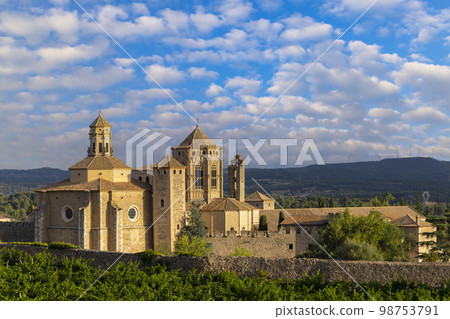 Royal Abbey of Santa Maria de Poblet, cistercian monastery, Catalonia, Spain 98753791