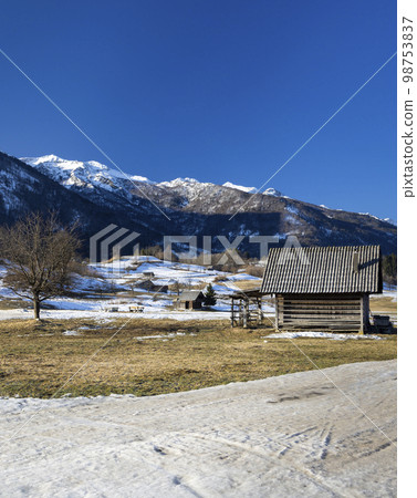 Typical landscape with wooden log cabins near Bohinjska Bistrica, Triglavski national park, Slovenia 98753837