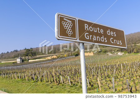Wine road (Route des Grands Crus) near Beaune, Burgundy, France 98753943