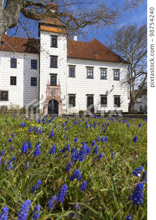 Trebon castle and town, Southern Bohemia, Czech Republic 98754240
