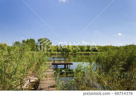 landscape of Tisza in Hungary 98754376