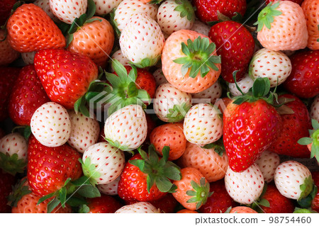 Strawberry gradation Strawberry gradation 98754460