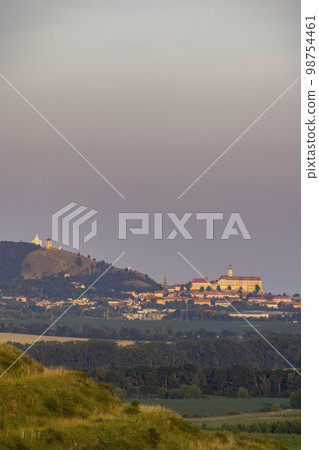 Mikulov castle and vineyard, Southern Moravia, Czech Republic Mikulov castle and vineyard, Southern Moravia, Czech Republic 98754461
