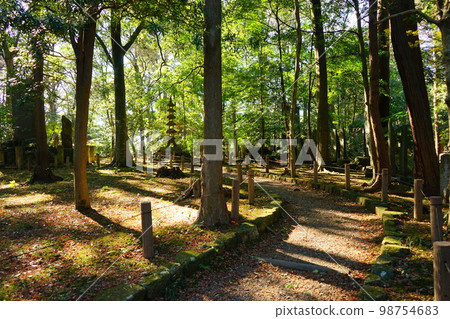 日本千葉成田山新勝寺成田山公園 日本千葉成田山新勝寺成田山公園 98754683