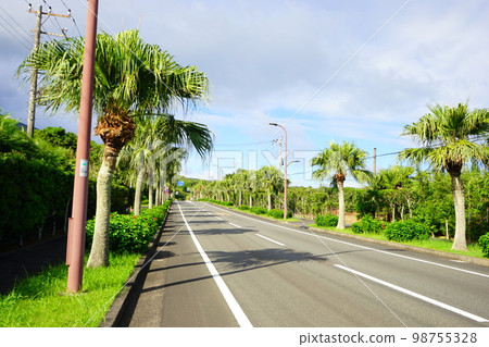 日本 東京 八條路 98755328
