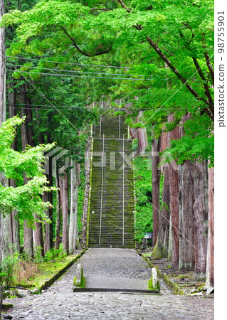 Minobusan Kuonji Bodaidai (Yamanashi Prefecture) 98755901