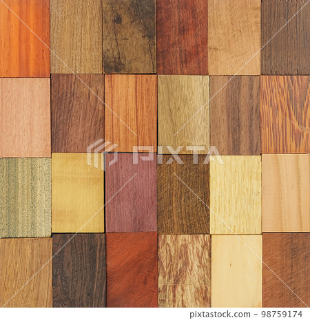 Background from various samples of wood Background from various samples of wood 98759174