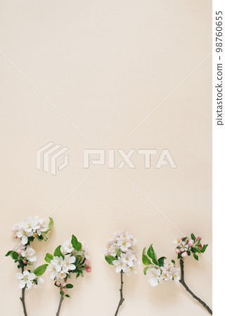 Minimalistic concept. Branches of an apple tree with white flowers on a beige background. Creative lifestyle, spring concept. Copy space, flat lay, top view. 98760655