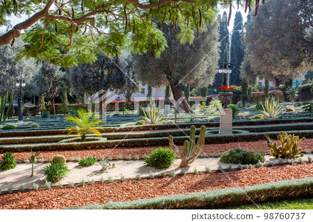 Cactus garden as part of Bahai gardens (terraces of the Shrine of the Bab) in Haifa Cactus garden as part of Bahai gardens (terraces of the Shrine of the Bab) in Haifa 98760737