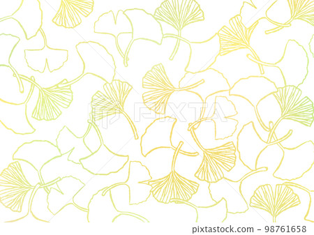 Ginkgo line drawing gradient background 1 98761658