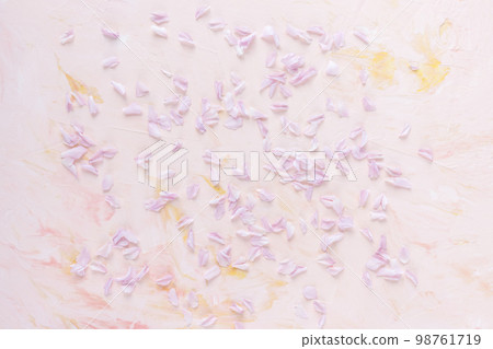 Fresh cherry blossom flowers, sakura petals on pastel pink background. Spring concept. Minimalist floral flat lay, top view, copy space 98761719