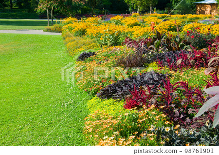 Beautiful garden with a flower garden and a lawn. 98761901