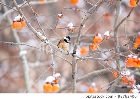 [Wild bird] Varied tit that came to eat persimmons 98762406