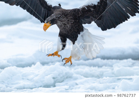 知床冬天 98762737