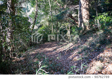 Satoyama的山路 98762789