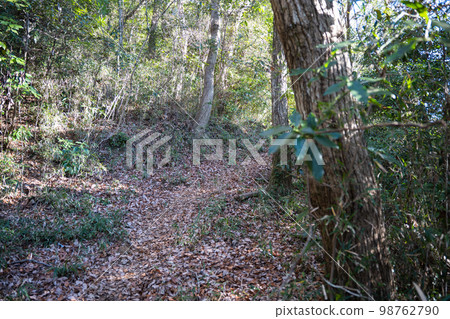 Satoyama的山路 98762790