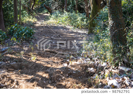 Satoyama的山路 Satoyama的山路 98762791