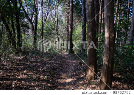 Mountain trail of Satoyama Mountain trail of Satoyama 98762792