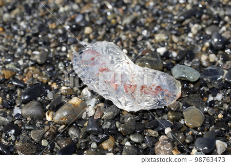 Flotsam okeni Flotsam okeni 98763473