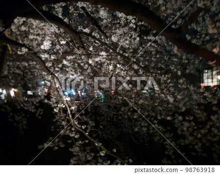 目黑河櫻花節 98763918