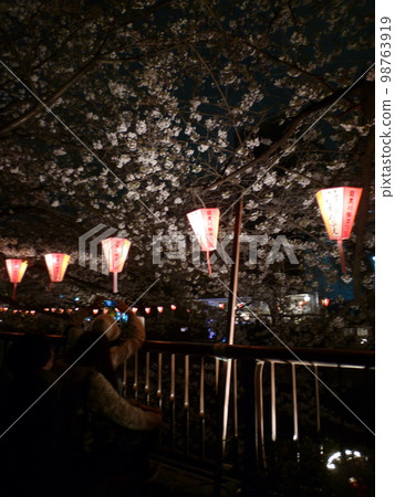 目黑河櫻花節 98763919