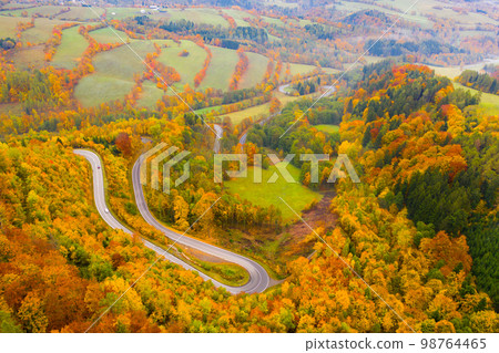 Aerial view of the autumn forest and road between the hills. Aerial view of the autumn forest and road between the hills. 98764465