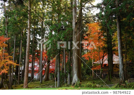 世界遺產中尊寺 98764922