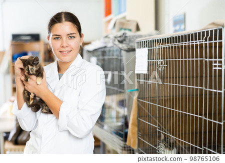 Young female worker at shelter standing with kitten in hands Young female worker at shelter standing with kitten in hands 98765106
