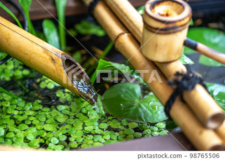 Biotope Tsukubai 日式形象 Biotope Tsukubai 日式形象 98765506