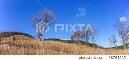Tonomine 高原在藍天映襯下的秋季全景 @ 兵庫 98765625