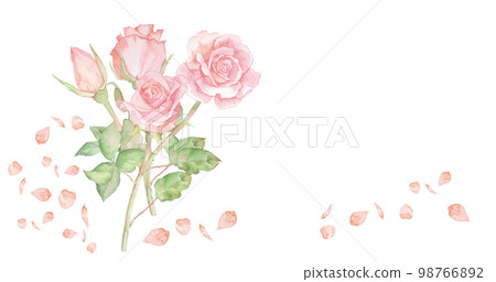 Rose watercolor illustration rose flower bouquet rose wallpaper 98766892