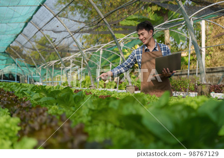 Asian business owner observed about growing organic in hydroponics farm. Growing organic vegetable and Green energy concept 98767129