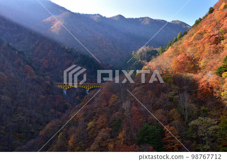 Autumn leaves from Mameyaki Bridge Autumn leaves from Mameyaki Bridge 98767712