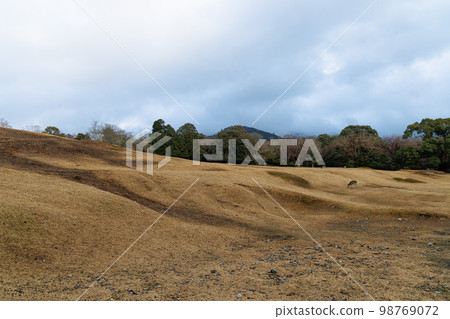 January 27, 2023 Nara Park, the day before the Wakakusayama Mountain Burning, Nara Park showing ups and downs against a cloudy sky January 27, 2023 Nara Park, the day before the Wakakusayama Mountain Burning, Nara Park showing ups and downs against a cloudy sky 98769072