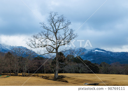 January 27, 2023 Nara Park, the day before the Wakakusayama Mountain Burn 98769111