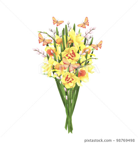 daffodil bouquet with willow and butterfly on white. Watercolor hand drawing illustration. Art for decoration and design daffodil bouquet with willow and butterfly on white. Watercolor hand drawing illustration. Art for decoration and design 98769498