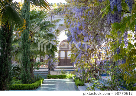 大清真寺的紫藤（法國巴黎） 98770612