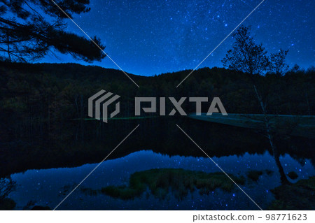 鯊魚的星空捅 98771623