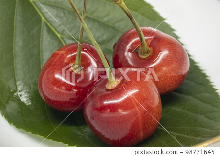 初夏的果實，美國櫻桃的視線 98771645