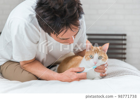 Male owner who brushes teeth, dental care, bad breath care for cats Male owner who brushes teeth, dental care, bad breath care for cats 98771738