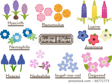 春天的花朵插圖集 春天的花朵插圖集 98771773