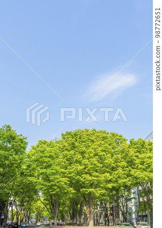 仙台,新鮮綠色森林之城 仙台,新鮮綠色森林之城 98772651
