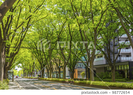 Sendai, the City of Fresh Green Forest 98772654