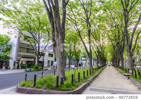 Sendai, the City of Fresh Green Forest 98772659
