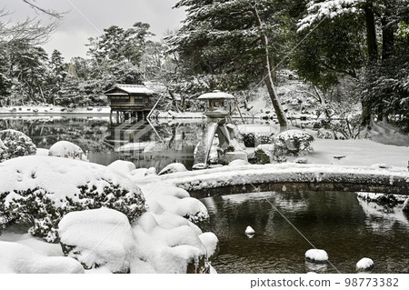 冬天的兼六園雪景優美 98773382